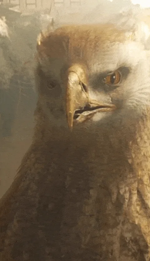 Fantastic Beasts & Where to Find Them project thumbnail
